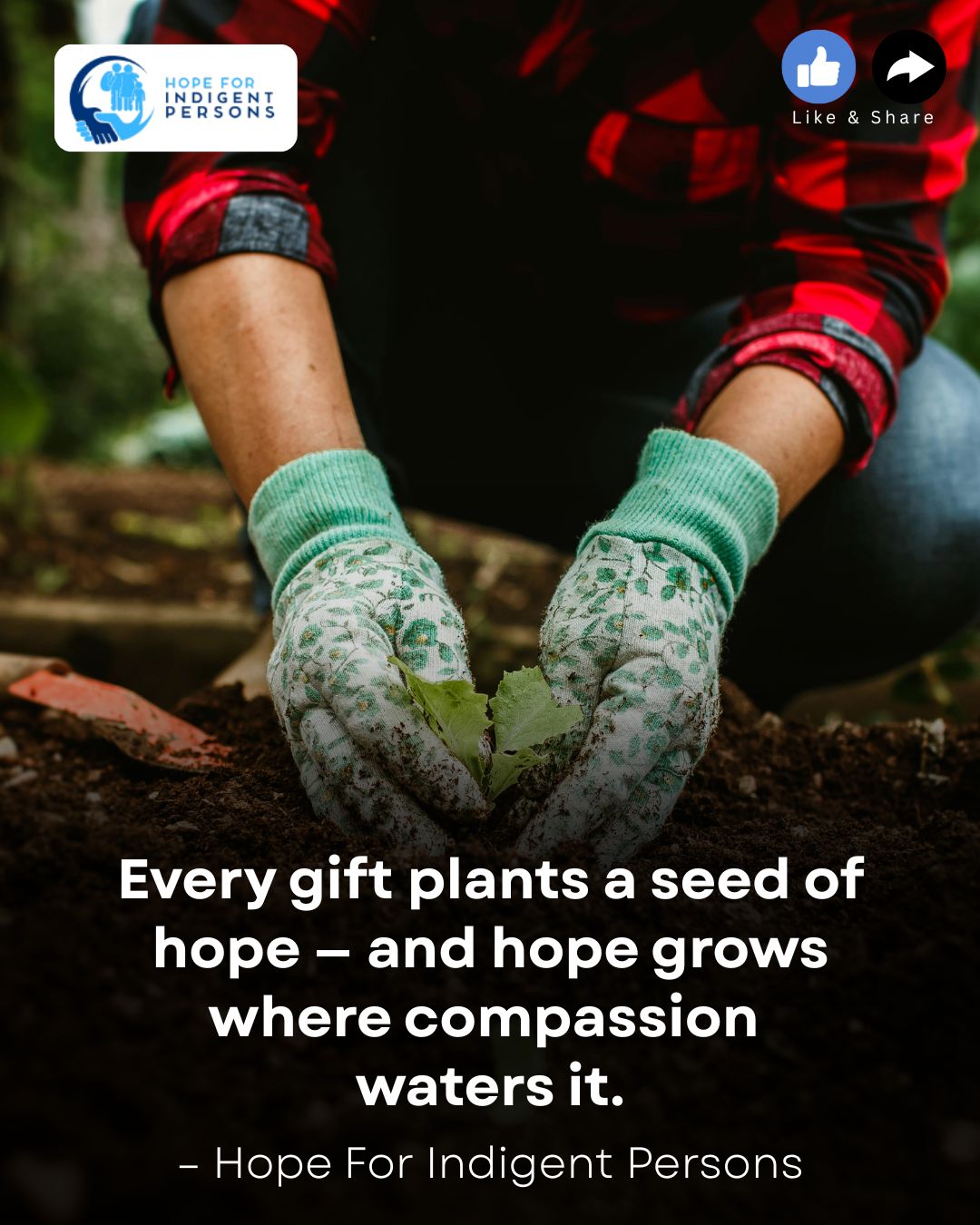 HFIP Posts (19) hfip posts (19)